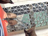 Brücke über dem 80m tiefen Hagwilget Canyon