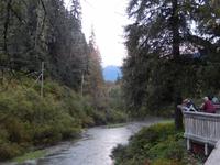 zurück am Fish Creek