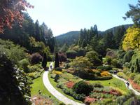 in den Butchart Gardens
