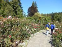 in den Butchart Gardens