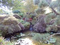 in den Butchart Gardens