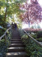 in den Butchart Gardens