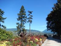 Stanley Park in Vancouver