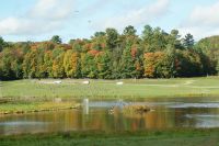 87  Omega Park