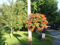 Vile de Cap Sante - das schönste Dorf Kanada's