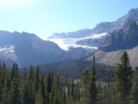 Crowfoot Glacier