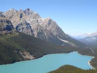 Blick vom Bow- Pass auf den Peyto Lake