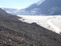 auf dem Athabasca Gletscher in 2231 Meter Höhe 