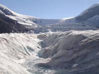 auf dem Athabasca Gletscher in 2231 Meter Höhe 