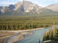 Blick auf den Mt. Edith Cavell am Athabasca-Fluss