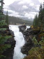 Athabasca Fall
