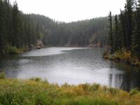 Regen am Eingang des Mt. Robson Parks