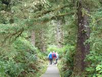 auf dem South Beach Trail im Regenwald des Pacific Rim Nationalpark
