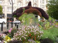 Victoria und die Wale