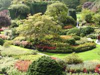 Butchard Gardens