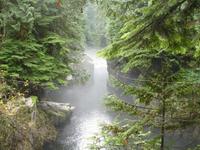 Vancouver - Spaziergang durch den Regenwald am Capilano-Fluss