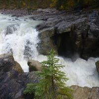 Sunwapta Falls