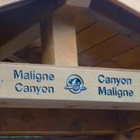 Maligne Canyon