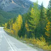 Fahrt zum Maligne See 