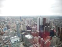 Blick vom CN - Tower auf die Skyline von Toronto