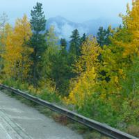 Fahrt zum Maligne See 