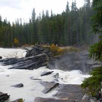 Athabasca Fall