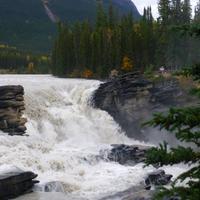 Athabasca Fall