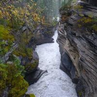 Athabasca Fall