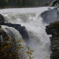 Athabasca Fall
