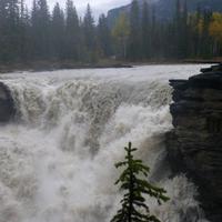 Athabasca Fall