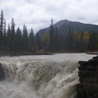 Athabasca Fall