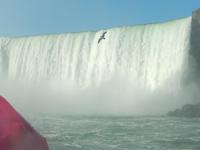 ... mit dem Schiff gings dicht an die Fälle heran