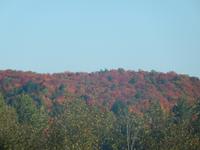 beindruckende Laubfärbung der Wälder
