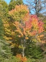 einfach nur schön...