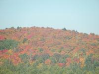 Farbenspiel der Natur