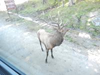 Besuch im Omega Nationalpark