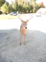 Tiere zum anfassen...