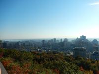 Blick über die Stadt vom Mont Royal aus