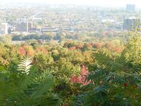 auch hier entfaltet sich die Farbenpracht