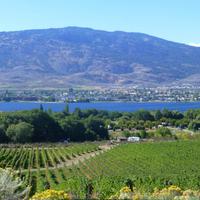 Blick auf den Osoyoos See