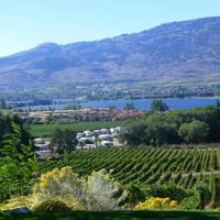 Blick auf den Osoyoos See