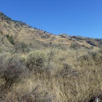 NK`mip Dessert Cultur Centre