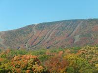 zur Zeit noch bunt gefärbte Skihänge 