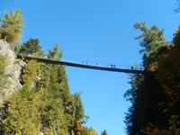 Hängebrücke über dem St. Anne Canyon