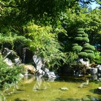 Japanischer Garten in Hope