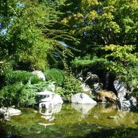 Japanischer Garten in Hope