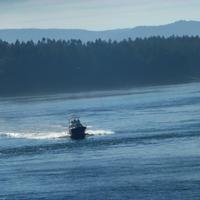 Überfahrt nach Vancouver Island
