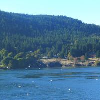 Überfahrt nach Vancouver Island