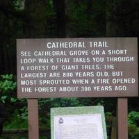 Cathedral Trail