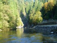 Capilano Salmon Hatchery